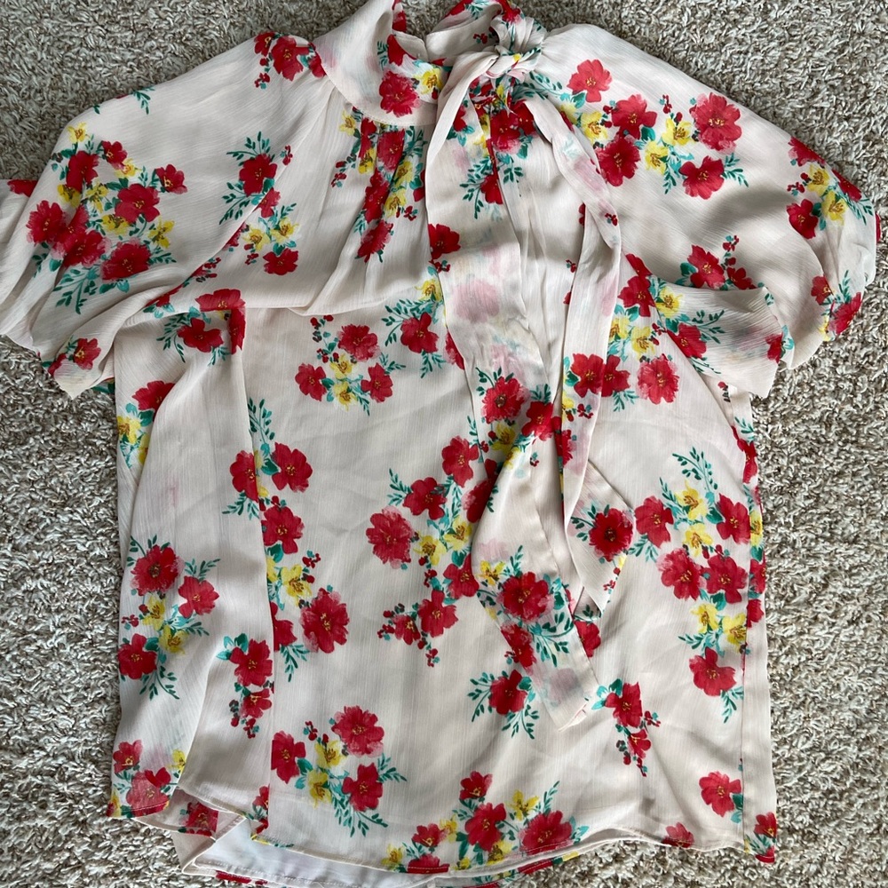 CeCe Pink Red Yellow Green Floral Romantic Feminine Cottagecore Blouse XL